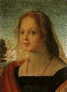 Portrait of a Young Woman Rosso Fiorentino